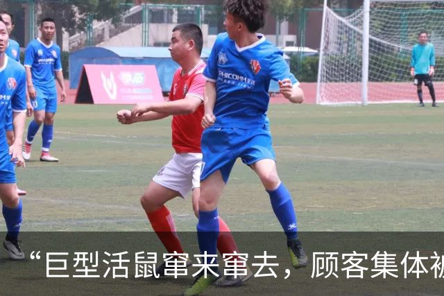“巨型活鼠窜来窜去，顾客集体被吓到崩溃，全程反胃恶心”，寿司郎中国最新回应：全面废弃及清洗消毒相关食材、器具