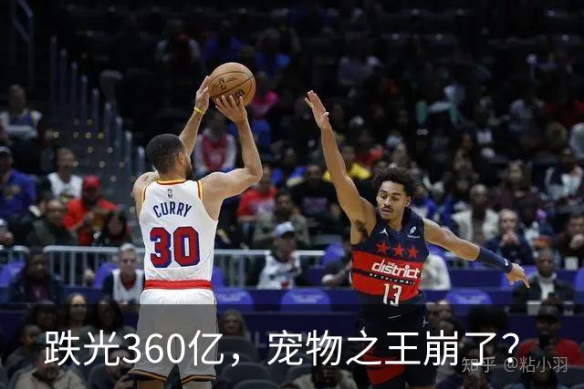跌光360亿，宠物之王崩了？